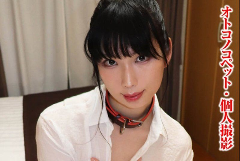 彩叶